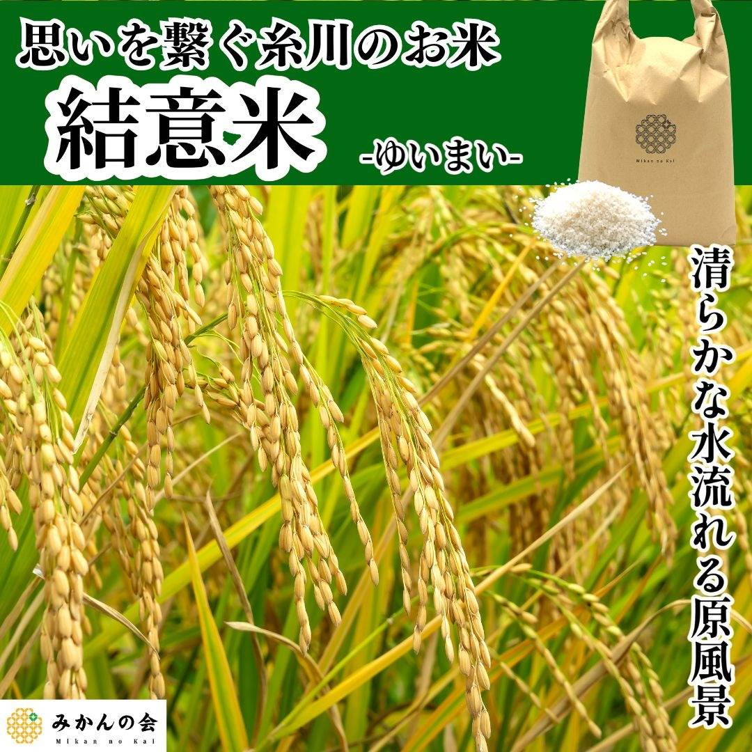 【出荷開始】今年も美味しい糸川のお米結意米🌾｜株式会社みかんの会　和歌山のお米通販