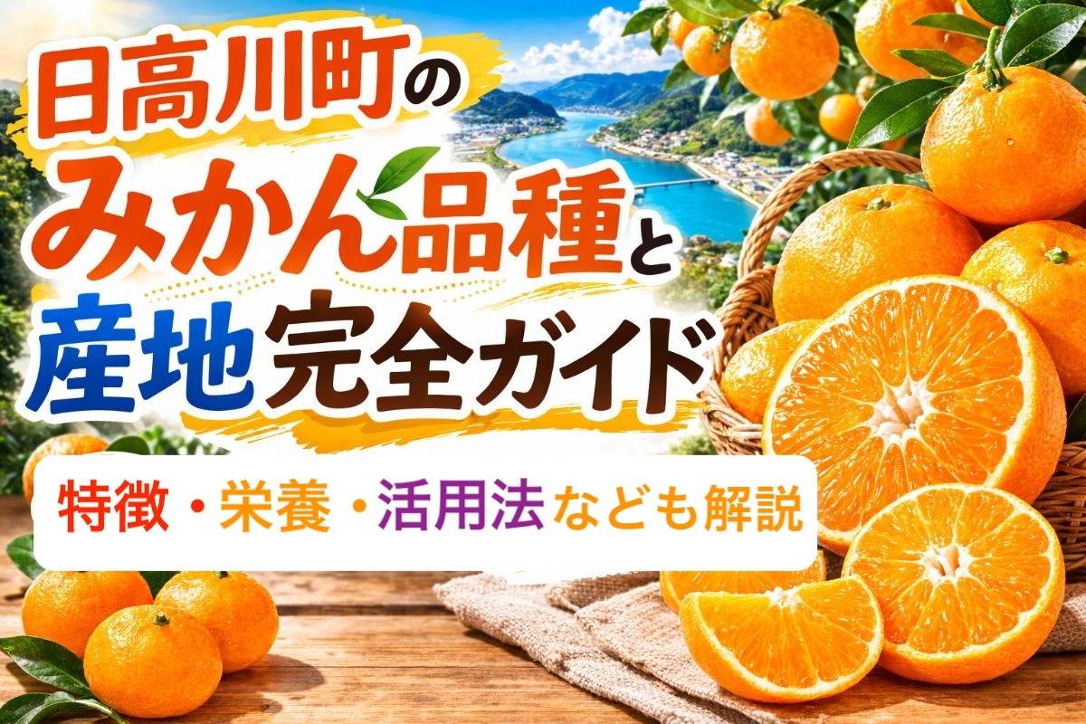 日高川町のみかん品種と産地完全ガイド|特徴・栄養・活用法なども解説