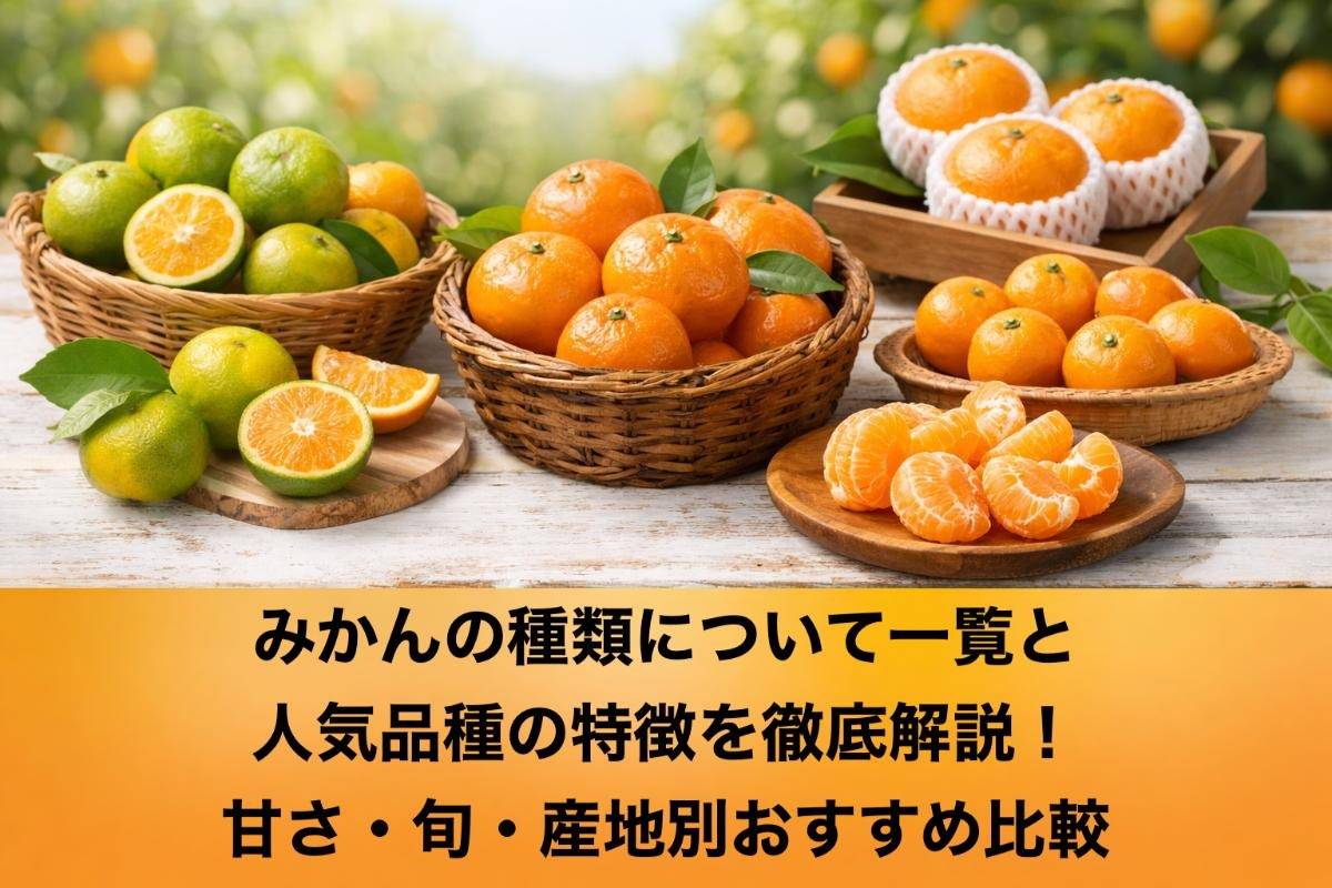 みかんの種類について一覧と人気品種の特徴を徹底解説!甘さ・旬・産地別おすすめ比較
