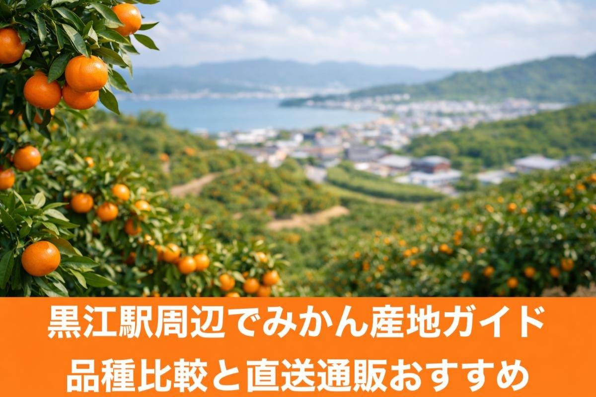 黒江駅周辺でみかん産地ガイド品種比較と直送通販おすすめ