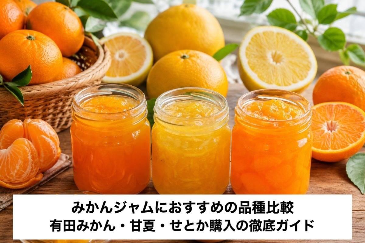 みかんジャムにおすすめの品種比較|有田みかん・甘夏・せとか購入の徹底ガイド