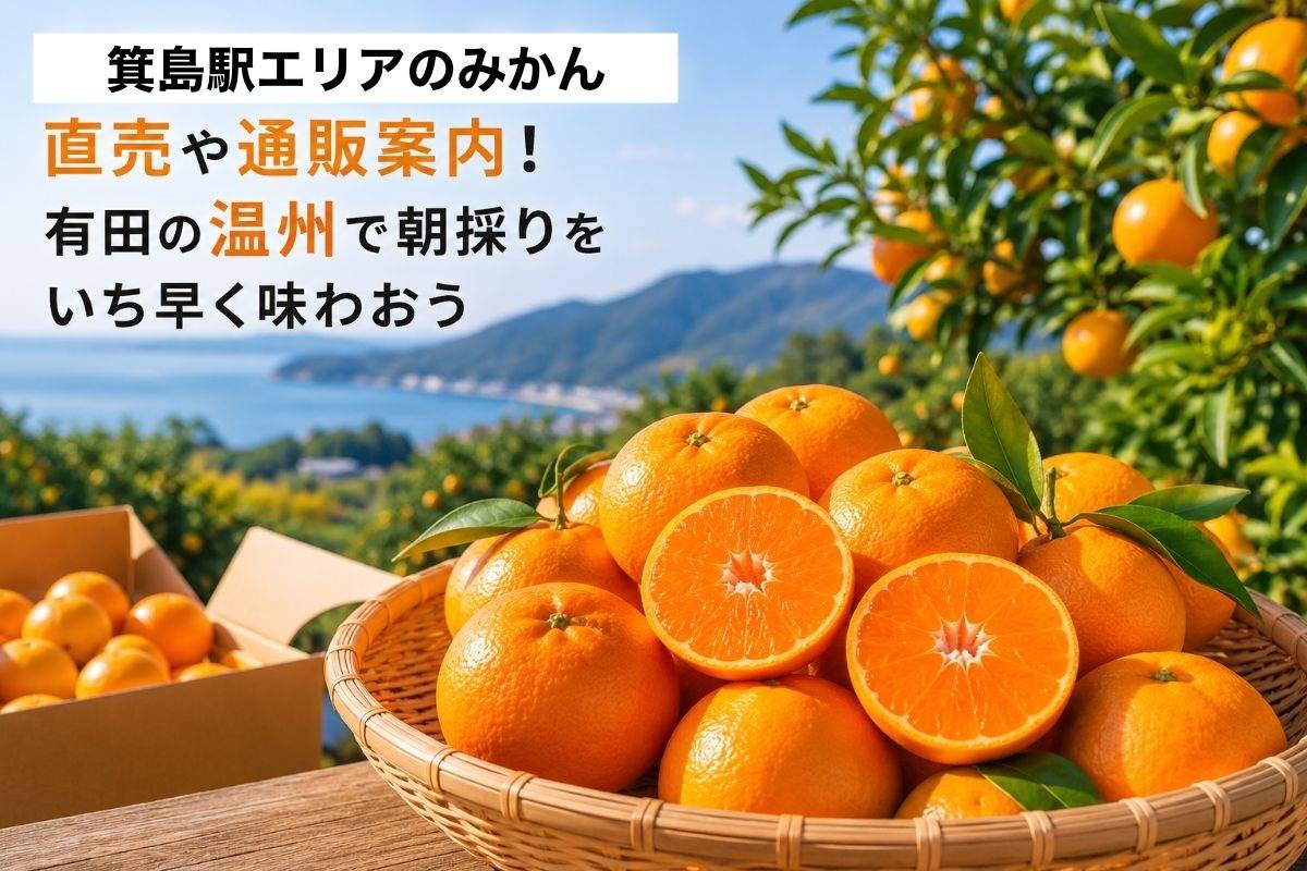 箕島駅エリアのみかん直売や通販案内!有田の温州で朝採りをいち早く味わおう