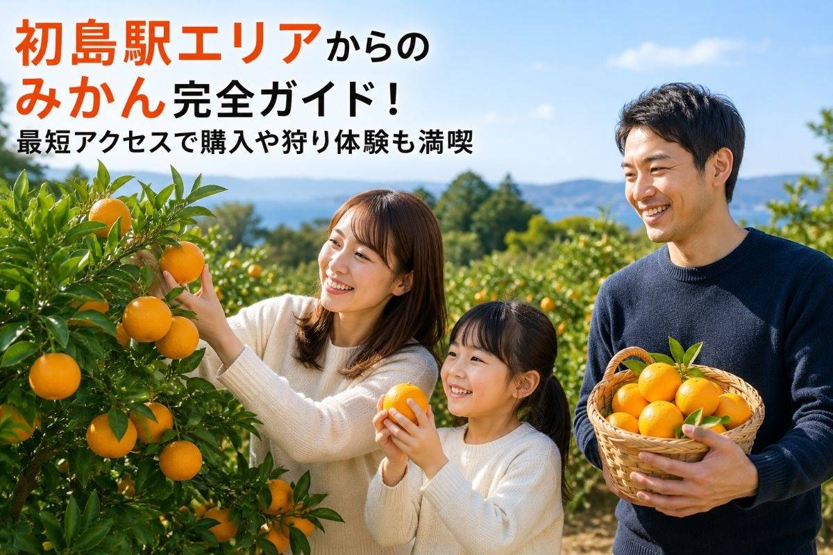 初島駅エリアからのみかん完全ガイド!最短アクセスで購入や狩り体験も満喫