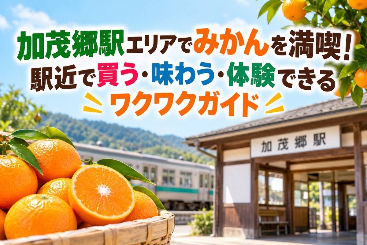 加茂郷駅エリアでみかんを満喫!駅近で買う・味わう・体験できるワクワクガイド
