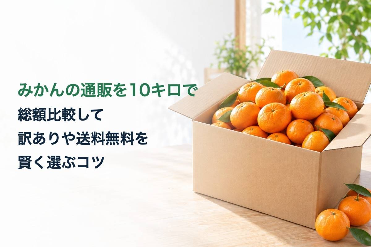 みかんの通販を10キロで総額比較して訳ありや送料無料を賢く選ぶコツ