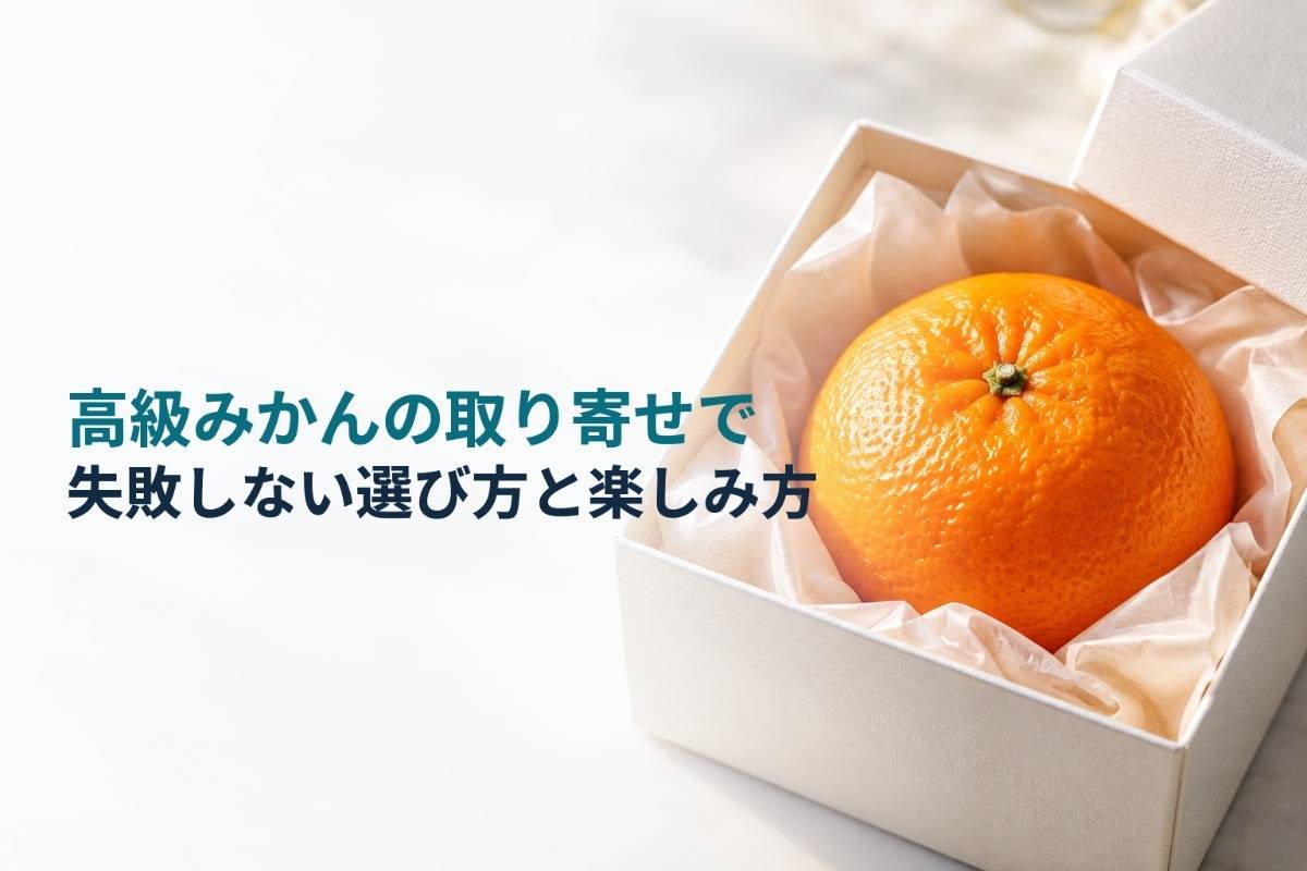 高級みかんの取り寄せで失敗しない選び方と楽しみ方
