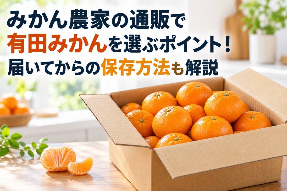 みかん農家の通販で有田みかんを選ぶポイント!届いてからの保存方法も解説